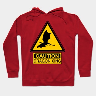 Caution: Dragon Xing Hoodie